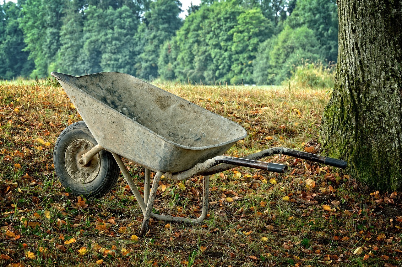 1681498636 479 Mogu li se kolica skladistiti vani AgroPower Vrtni alati i strojevi