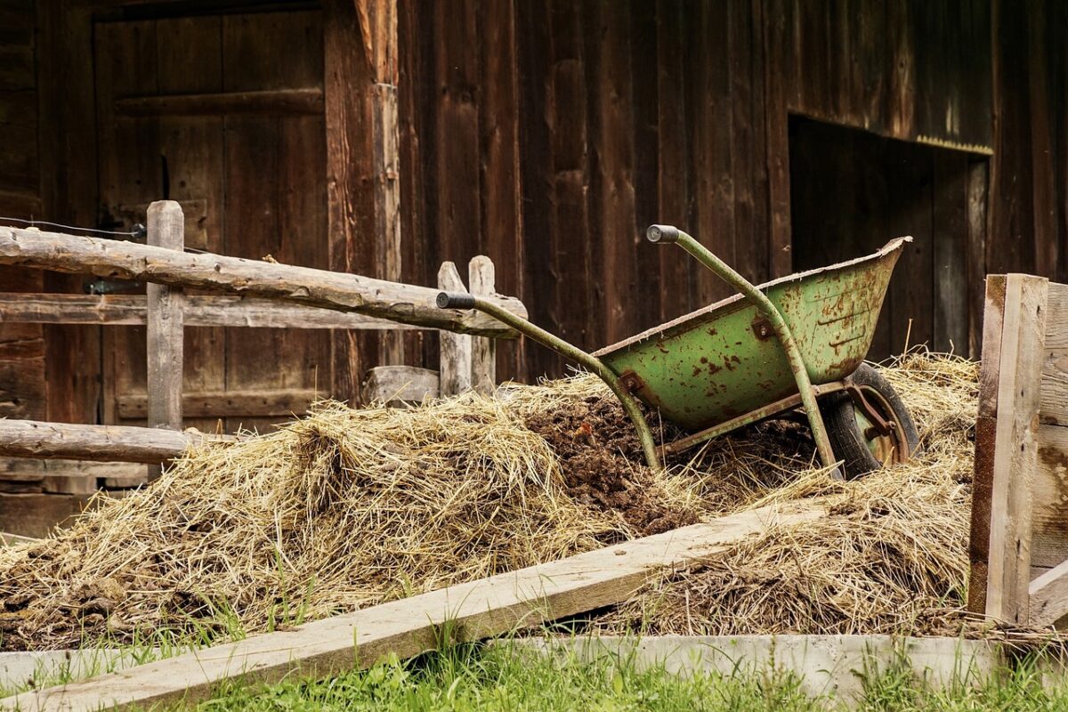 1681498637 Mogu li se kolica skladistiti vani AgroPower Vrtni alati i strojevi