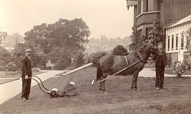 viktorijanska fotografija konja koji vuče kosilicu