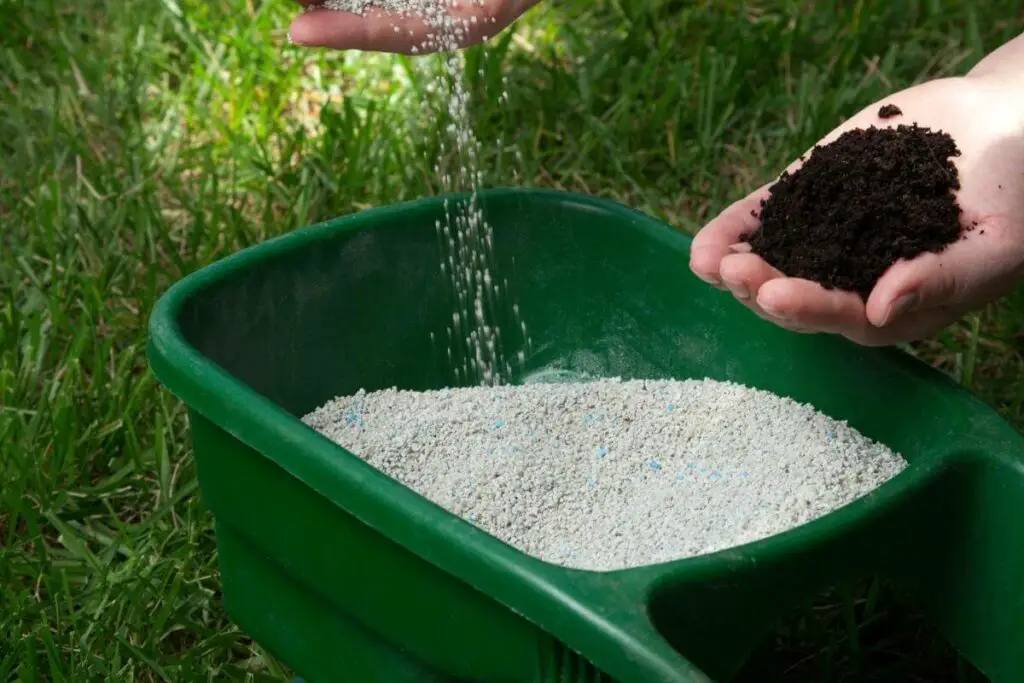 Korištenje gnojiva za poboljšanje trave
