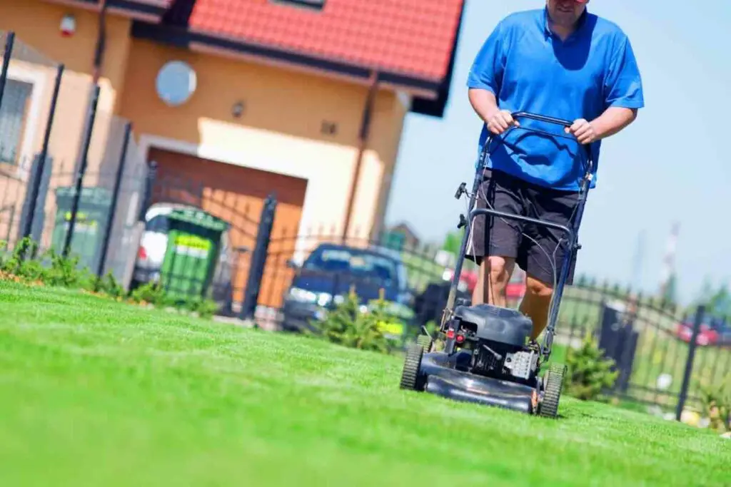 Najbolje vrijeme za košnju travnjaka