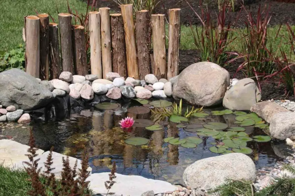 Vrtno jezerce s biljkama