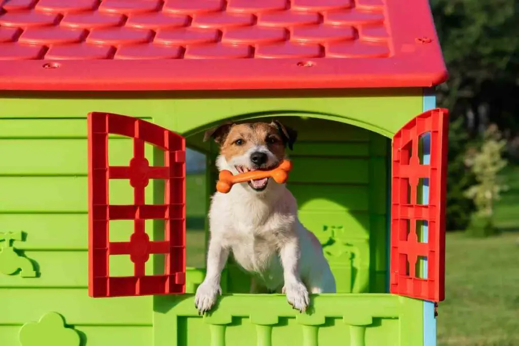 Sretan pas u plastičnoj kućici za pse