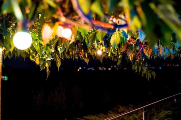 1682091681 9 neobicnih festonskih svjetiljki za vas vrt AgroPower Vrtni alati i strojevi