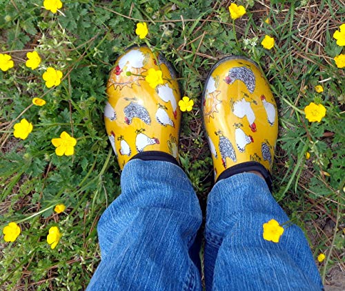 Sloggers ženske vodootporne cipele za kišu i vrt s udobnim uloškom, Chickens Daffodil Yellow, veličina 8, stil 5116CDY08