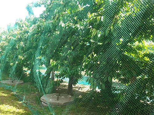 CandyHome Green Mreža za zaštitu od ptica Vrtna mreža za biljke Zaštita sadnica Biljke Cvijeće Voćke Povrće od glodavaca Ptice Jeleni Ograde za višekratnu upotrebu (13Ft x 33Ft)