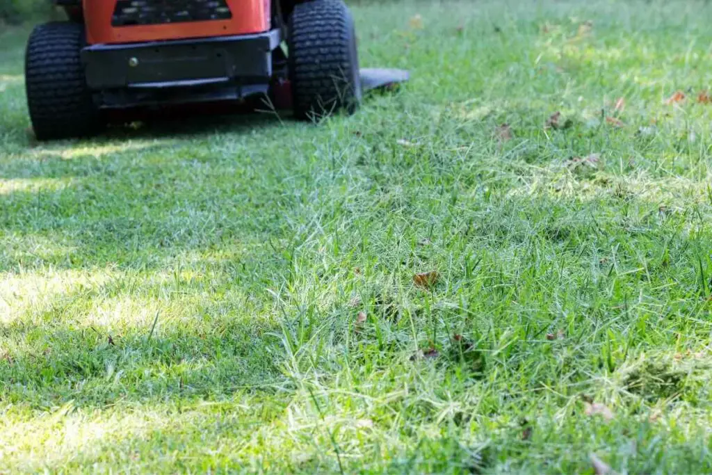 Rezanje mokre trave kosilicom u nultom položaju