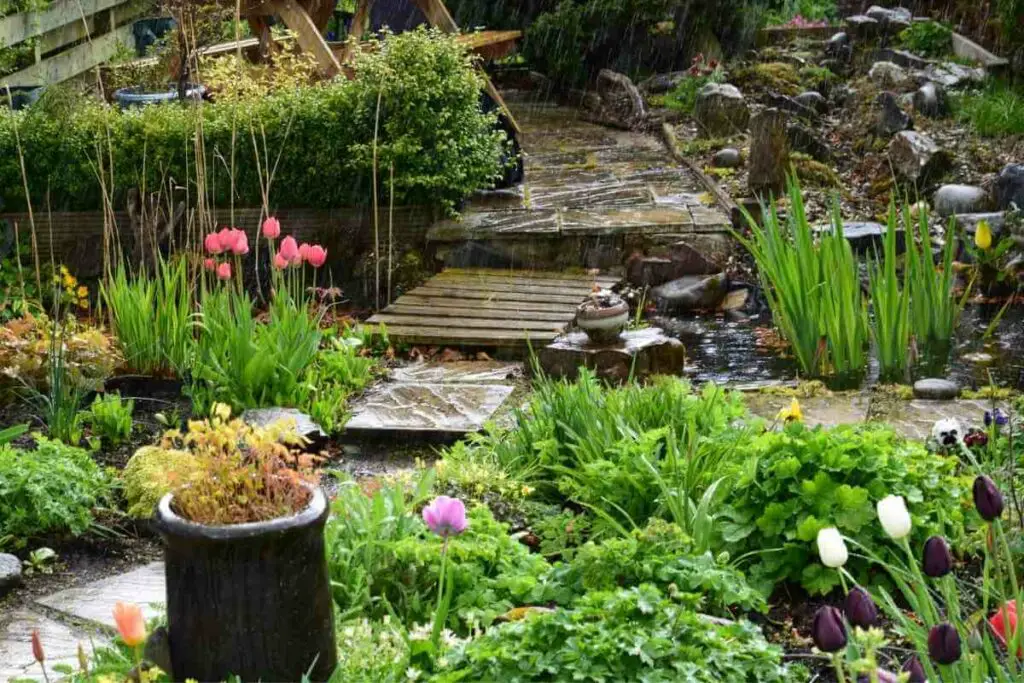 Prednosti kišnog vrta