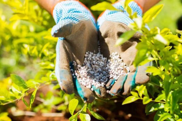 1682179127 Kako jednostavno ponistiti gnojidbu u vrtu AgroPower Vrtni alati i strojevi