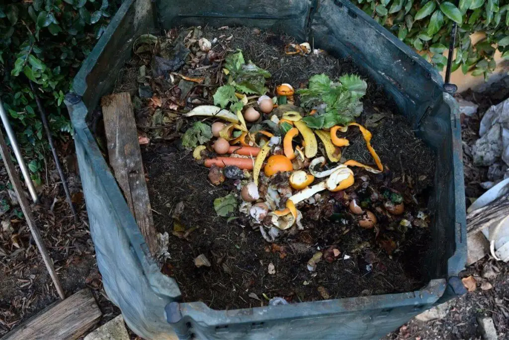 Je li nedovrseni kompost los Sto uciniti s tim AgroPower Vrtni alati i strojevi