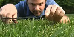 Kako pokositi travu bez kosilice AgroPower Vrtni alati i strojevi