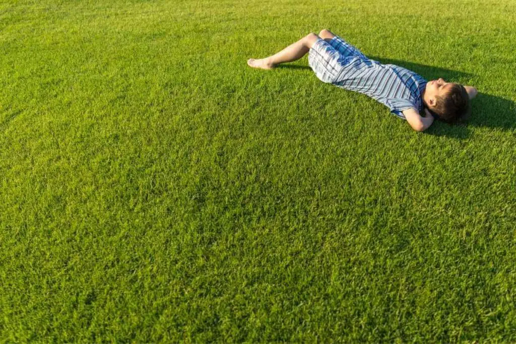 Dječak na zdravoj travi
