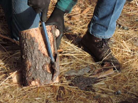 Trebate li ukloniti koru s drva za ogrjev AgroPower Vrtni alati i strojevi