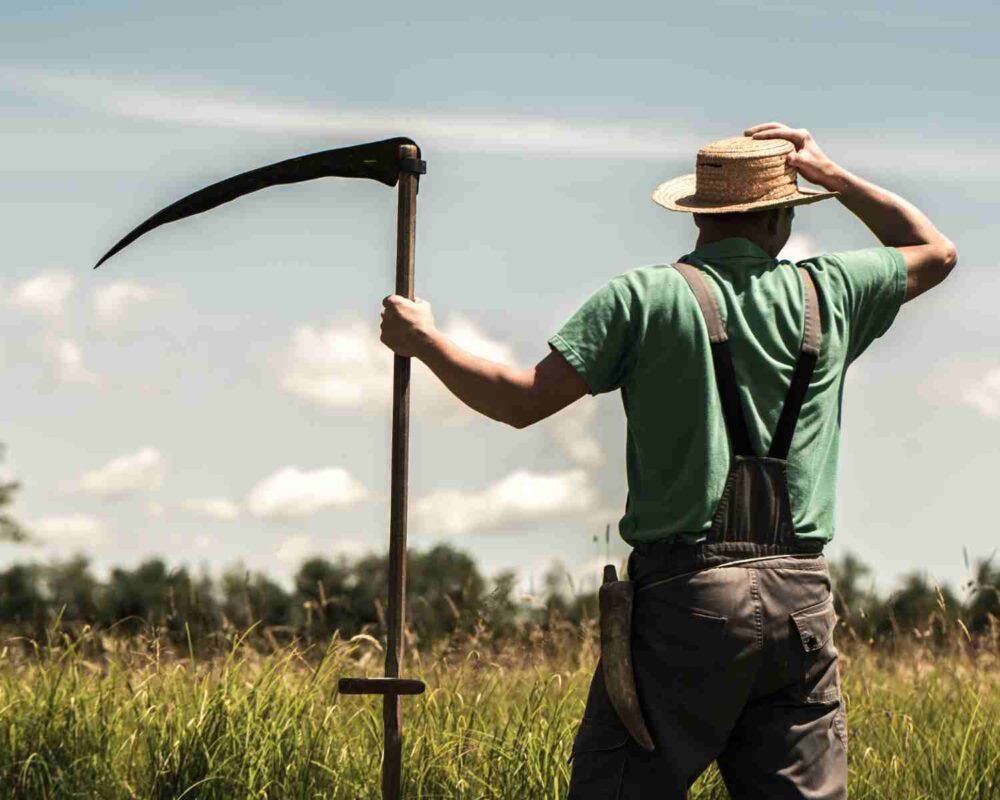 Kako pokositi travu bez kosilice 2 AgroPower Vrtni alati i strojevi