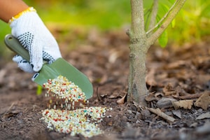 Koliko je potrebno da gnojivo Triple 13 pocne djelovati Otkriveno AgroPower Vrtni alati i strojevi