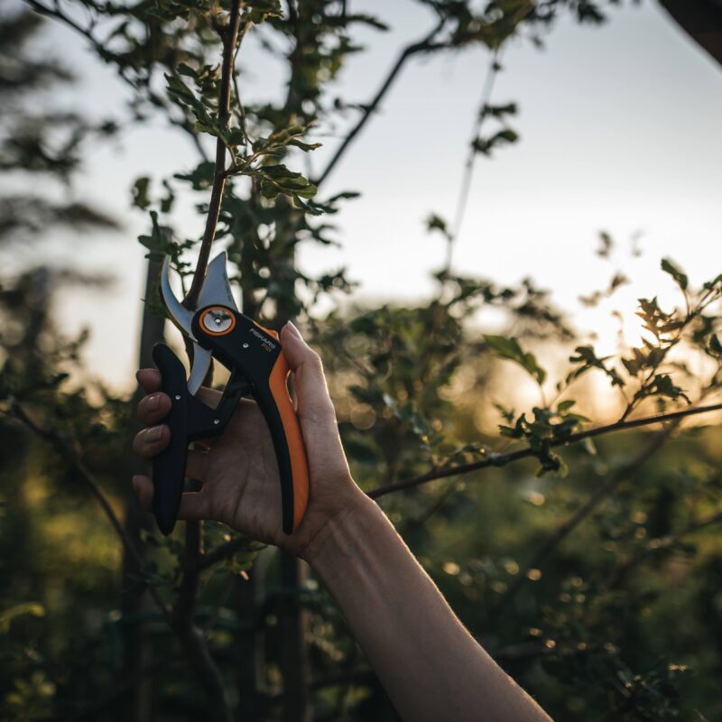 Fiskars FISKARS vrtne skare mimoilazne Plus P721 1057170 P721 agropower 034388301 AgroPower Vrtni alati i strojevi