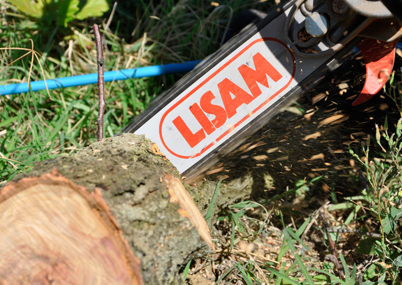 Lisam pneumatska moncana pila Sky man agropower 301060310 AgroPower Vrtni alati i strojevi
