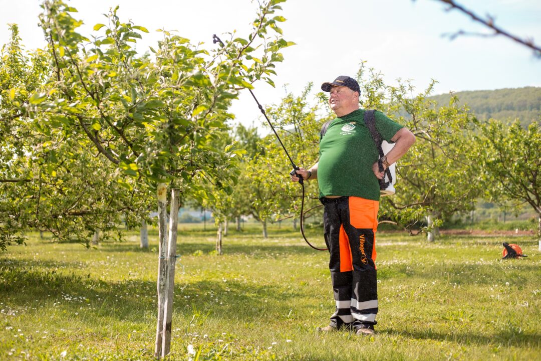 Villager akumulatorska ledna prskalica VBS16Li 12VLi ion 051572 agropower 172111151 AgroPower Vrtni alati i strojevi