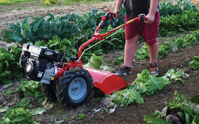 Fort motokultivator serije 6.5ks agropower akcija popust kvalitetni freza kopacica jaka321321321321313154104 serie AgroPower Vrtni alati i strojevi